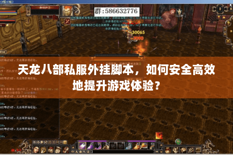 天龙八部私服外挂脚本,如何安全高效地提升游戏体验? 天龙八部私服外挂脚本,如何安全高效地提升游戏体验?