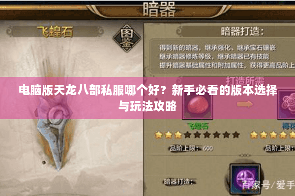 电脑版天龙八部私服哪个好?新手必看的版本选择与玩法攻略 电脑版天龙八部私服哪个好?新手必看的版本选择与玩法攻略