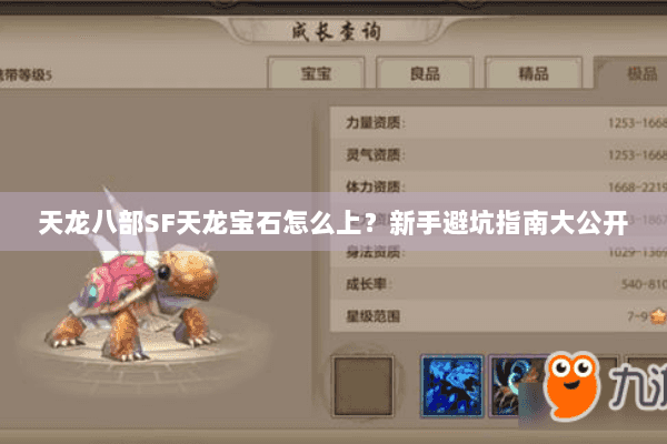 天龙八部SF天龙宝石怎么上?新手避坑指南大公开 天龙八部SF天龙宝石怎么上?新手避坑指南大公开