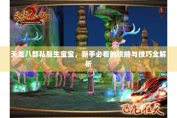 天龙八部私服生宝宝，新手必看的攻略与技巧全解析