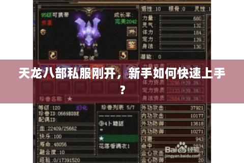 天龙八部私服刚开，新手如何快速上手？