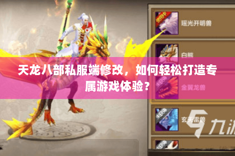 天龙八部私服端修改，如何轻松打造专属游戏体验？