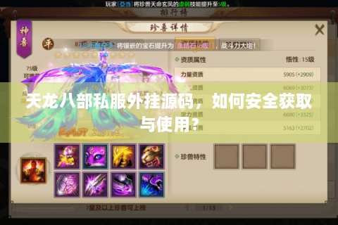 天龙八部私服外挂源码，如何安全获取与使用？