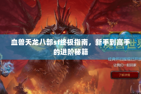 血兽天龙八部sf终极指南，新手到高手的进阶秘籍