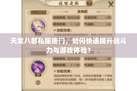 天龙八部私服唐门,如何快速提升战斗力与游戏体验? 天龙八部私服唐门,如何快速提升战斗力与游戏体验?