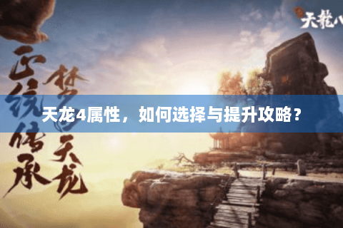 天龙4属性，如何选择与提升攻略？