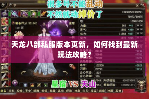 天龙八部私服版本更新，如何找到最新玩法攻略？