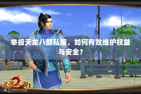 举报天龙八部私服，如何有效维护权益与安全？
