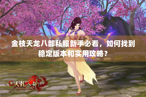 金枝天龙八部私服新手必看，如何找到稳定版本和实用攻略？