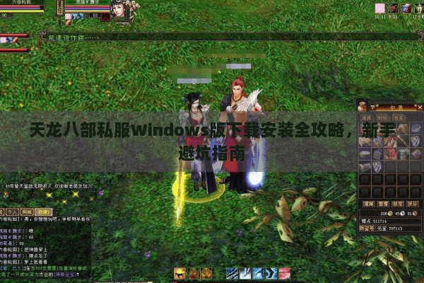 天龙八部私服Windows版下载安装全攻略,新手避坑指南 天龙八部私服Windows版下载安装全攻略,新手避坑指南