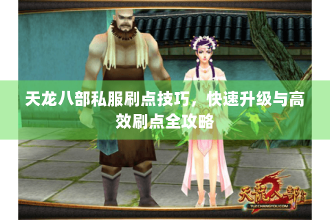 天龙八部私服刷点技巧,快速升级与高效刷点全攻略 天龙八部私服刷点技巧,快速升级与高效刷点全攻略