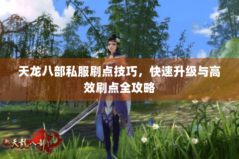 天龙八部私服刷点技巧,快速升级与高效刷点全攻略 天龙八部私服刷点技巧,快速升级与高效刷点全攻略
