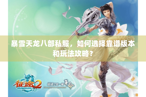 暴雪天龙八部私服，如何选择靠谱版本和玩法攻略？