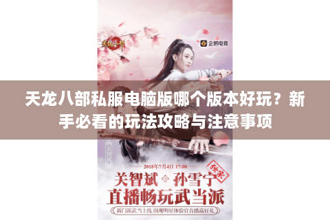 天龙八部私服电脑版哪个版本好玩？新手必看的玩法攻略与注意事项