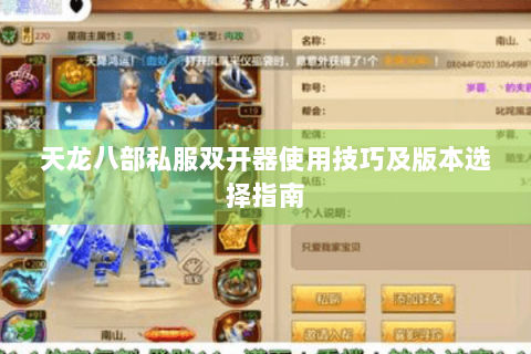 天龙八部私服双开器使用技巧及版本选择指南