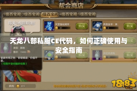 天龙八部私服CE代码,如何正确使用与安全指南 天龙八部私服CE代码,如何正确使用与安全指南