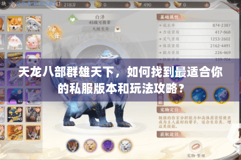 天龙八部群雄天下，如何找到最适合你的私服版本和玩法攻略？