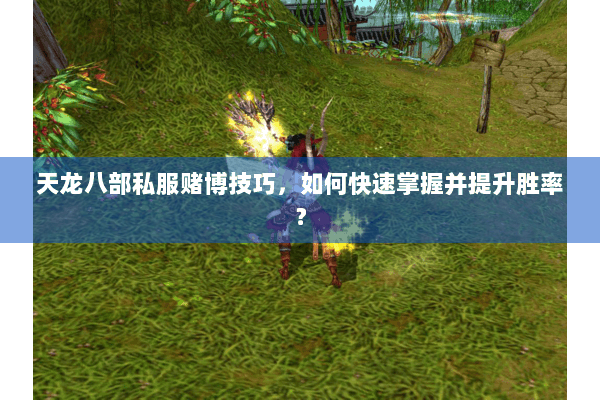 天龙八部私服赌博技巧，如何快速掌握并提升胜率？