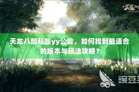 天龙八部私服yy公会，如何找到最适合的版本与玩法攻略？