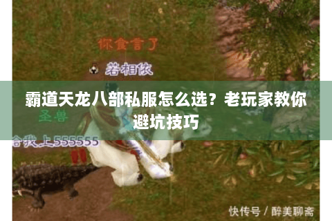 霸道天龙八部私服怎么选?老玩家教你避坑技巧 霸道天龙八部私服怎么选?老玩家教你避坑技巧