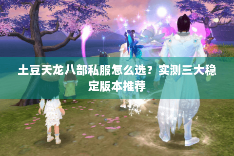 土豆天龙八部私服怎么选？实测三大稳定版本推荐