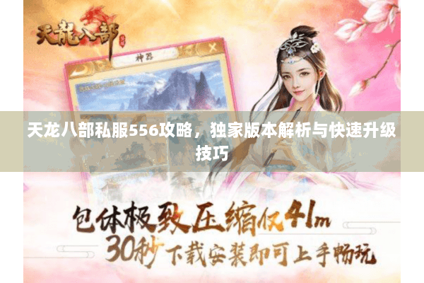 天龙八部私服556攻略，独家版本解析与快速升级技巧