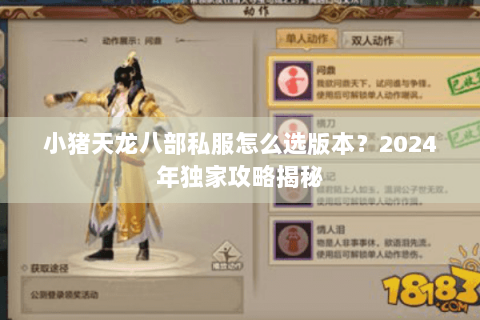 小猪天龙八部私服怎么选版本？2024年独家攻略揭秘