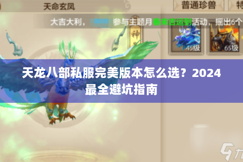 天龙八部私服完美版本怎么选？2024最全避坑指南