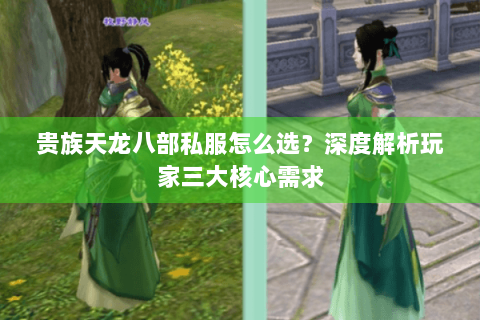 贵族天龙八部私服怎么选？深度解析玩家三大核心需求