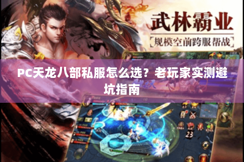 PC天龙八部私服怎么选？老玩家实测避坑指南