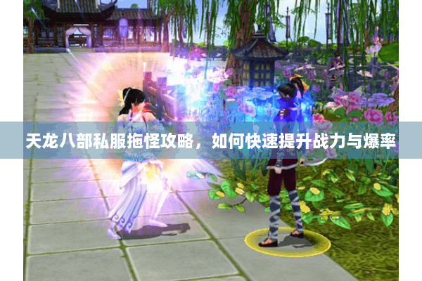 天龙八部私服拖怪攻略,如何快速提升战力与爆率 天龙八部私服拖怪攻略,如何快速提升战力与爆率
