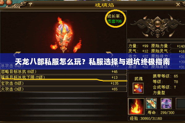 天龙八部私服怎么玩?私服选择与避坑终极指南 天龙八部私服怎么玩?私服选择与避坑终极指南