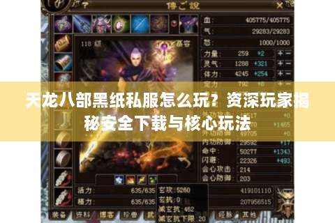 天龙八部黑纸私服怎么玩？资深玩家揭秘安全下载与核心玩法