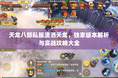 天龙八部私服潇洒天龙，独家版本解析与实战攻略大全