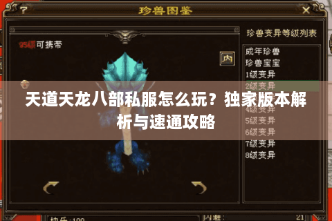天道天龙八部私服怎么玩?独家版本解析与速通攻略 天道天龙八部私服怎么玩?独家版本解析与速通攻略