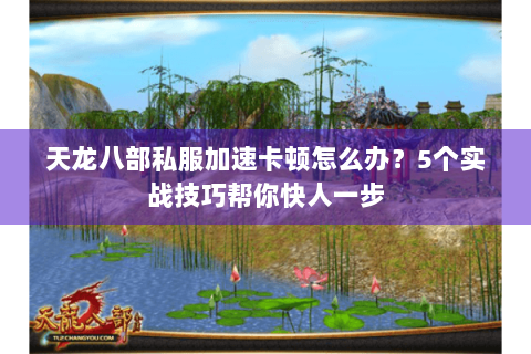 天龙八部私服加速卡顿怎么办?5个实战技巧帮你快人一步 天龙八部私服加速卡顿怎么办?5个实战技巧帮你快人一步