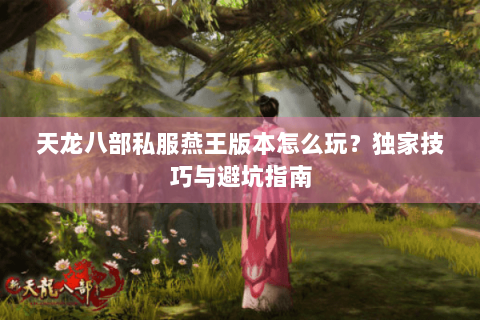 天龙八部私服燕王版本怎么玩？独家技巧与避坑指南