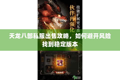 天龙八部私服出售攻略，如何避开风险找到稳定版本