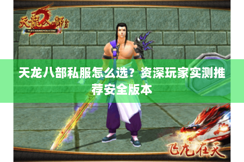 天龙八部私服怎么选？资深玩家实测推荐安全版本