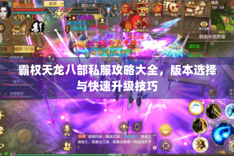 霸权天龙八部私服攻略大全,版本选择与快速升级技巧 霸权天龙八部私服攻略大全,版本选择与快速升级技巧