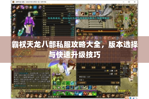 霸权天龙八部私服攻略大全,版本选择与快速升级技巧 霸权天龙八部私服攻略大全,版本选择与快速升级技巧