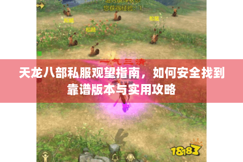 天龙八部私服观望指南,如何安全找到靠谱版本与实用攻略 天龙八部私服观望指南,如何安全找到靠谱版本与实用攻略