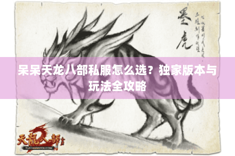 呆呆天龙八部私服怎么选？独家版本与玩法全攻略