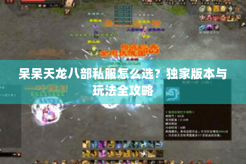 呆呆天龙八部私服怎么选？独家版本与玩法全攻略