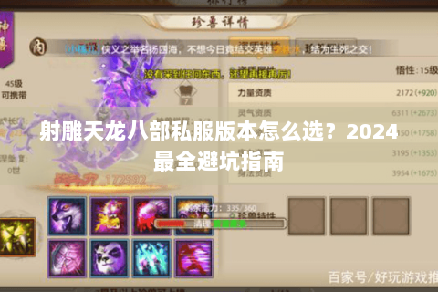 射雕天龙八部私服版本怎么选?2024最全避坑指南 射雕天龙八部私服版本怎么选?2024最全避坑指南