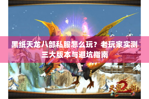黑纸天龙八部私服怎么玩？老玩家实测三大版本与避坑指南