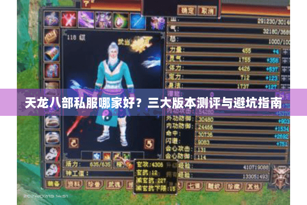天龙八部私服哪家好？三大版本测评与避坑指南