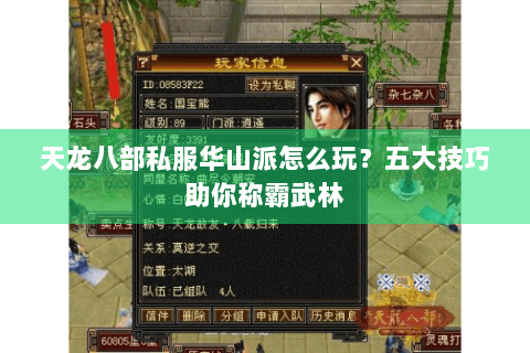 天龙八部私服华山派怎么玩?五大技巧助你称霸武林 天龙八部私服华山派怎么玩?五大技巧助你称霸武林