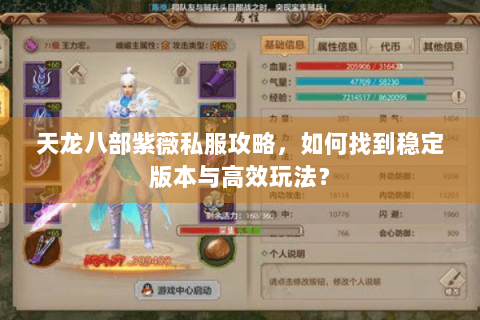 天龙八部紫薇私服攻略,如何找到稳定版本与高效玩法? 天龙八部紫薇私服攻略,如何找到稳定版本与高效玩法?