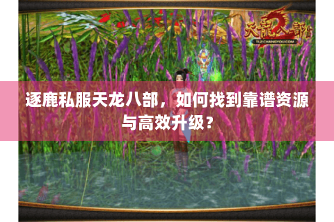逐鹿私服天龙八部,如何找到靠谱资源与高效升级? 逐鹿私服天龙八部,如何找到靠谱资源与高效升级?